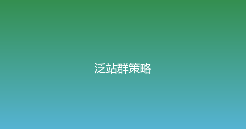 泛站群策略 封面图